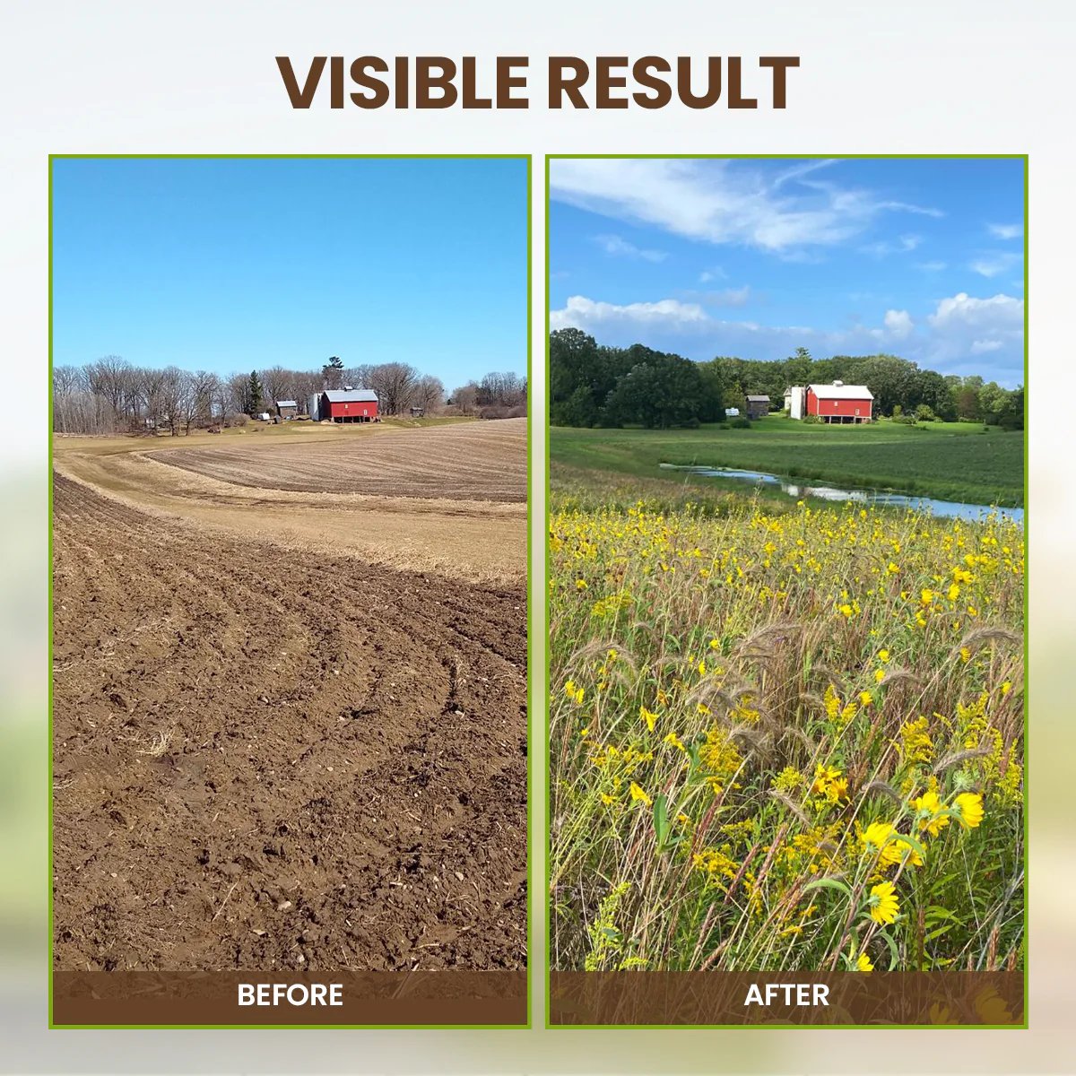 🏆 Limited Time Deal -￡5.99!!⭐75K+ SOLD🌳Soil Pro Activator