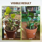 🏆 Limited Time Deal -￡5.99!!⭐75K+ SOLD🌳Soil Pro Activator