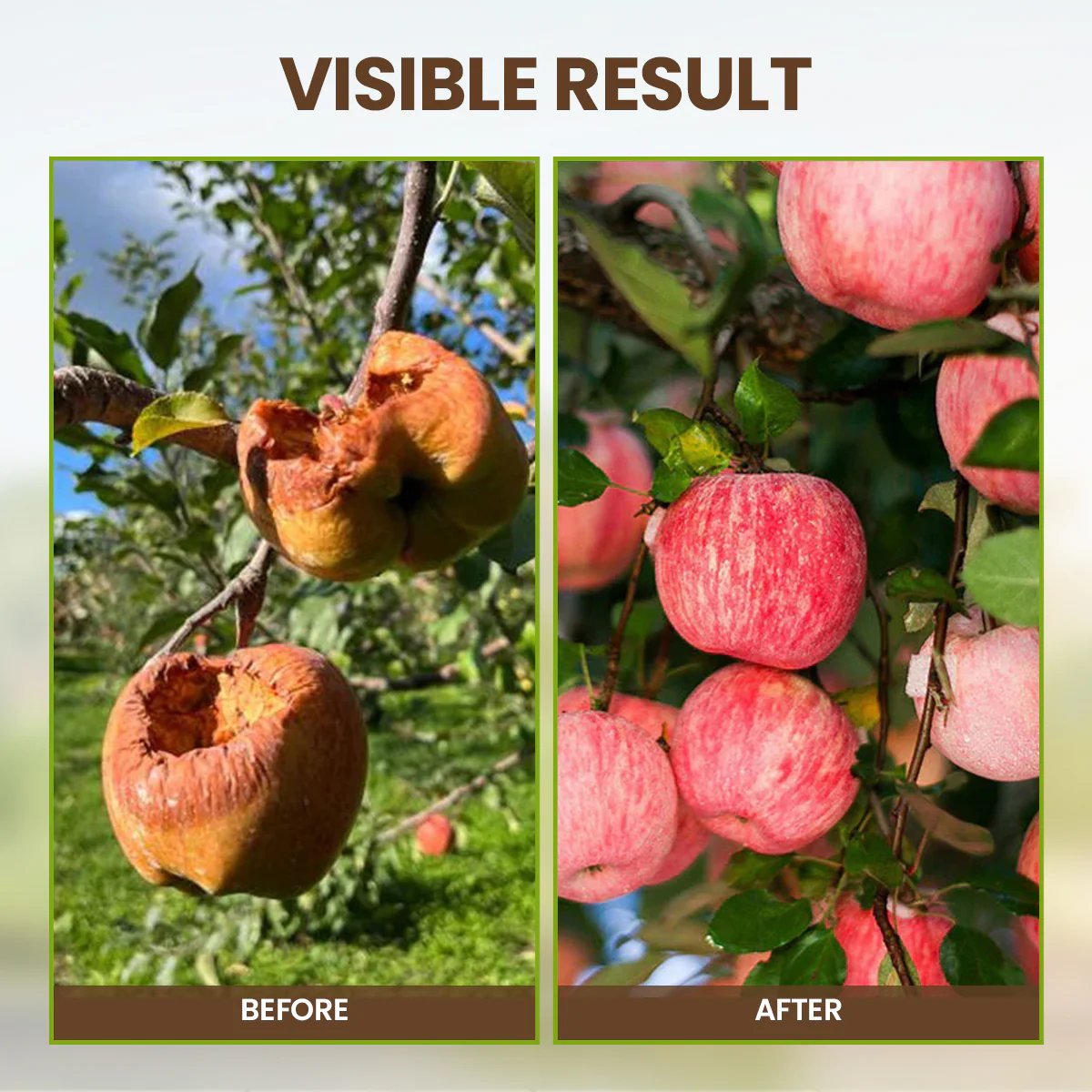 🏆 Limited Time Deal -￡5.99!!⭐75K+ SOLD🌳Soil Pro Activator