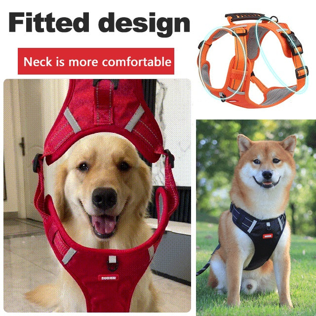 🔥Hot sale-50% Off🔥🐕Price - Pet Leash Free!