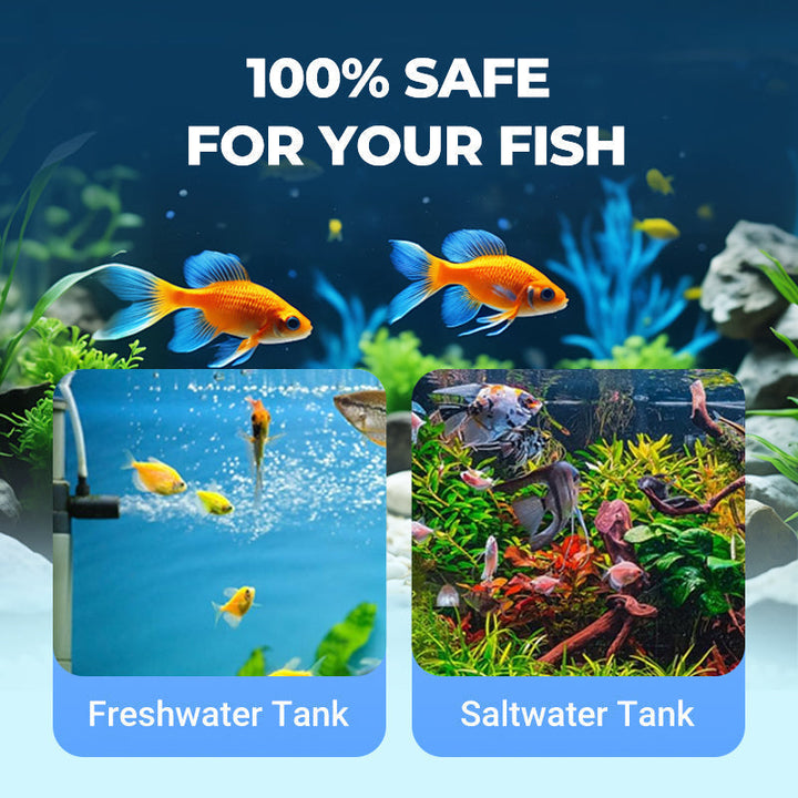 🐠 BUY 1 GET 1 FREE! 💧 Powerful Aquarium Water Clarifier – Clears Cloudy Water, Safe for Fish &amp; Fast-Acting 🌿