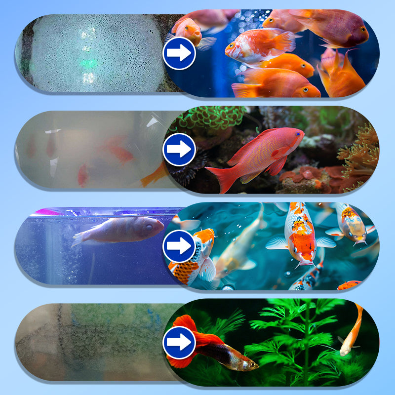 💦 Limited Time Half Price - Fish Tank Sterilization and Cleaning Water Purifier