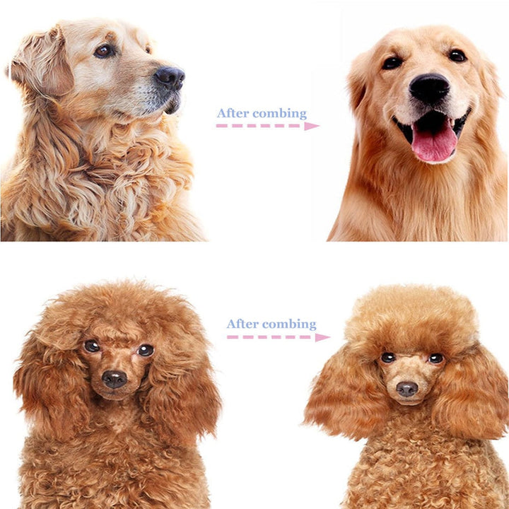 ⏰🔥LIMITED TIME 50% OFF! 🐾 Professional Deshedding Tool for Dogs &amp; Cats – Gentle, Efficient &amp; Fur-Free Home ✨💖