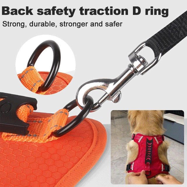 🔥Hot sale-50% Off🔥🐕Price - Pet Leash Free!