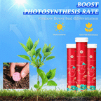 🔥2025 Hot Sale 50%OFF 🌞Home Gardening Universal Slow-Release Tablet Organic Fertilizer