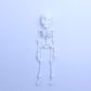 3D Printed Vintage Skeleton Magnetic Figurine 🎃