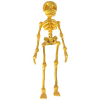 3D Printed Vintage Skeleton Magnetic Figurine 🎃