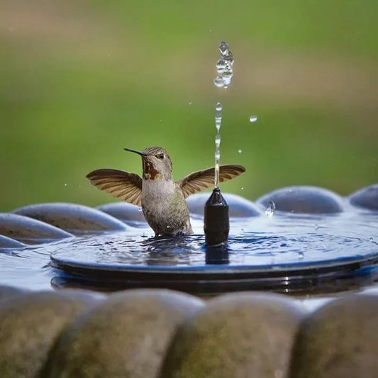 🎁HOT SALE 50% OFF 🎁Solar Powered Fountain