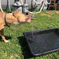 🎁HOT SALE 50% OFF 🎁Solar Powered Fountain