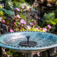 🎁HOT SALE 50% OFF 🎁Solar Powered Fountain