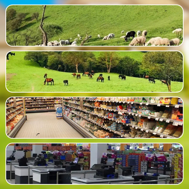 ✨✨Solar-Powered Remote Surveillance Camera