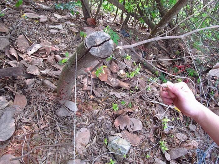 Survival Gear Stainless Steel Wire Saw