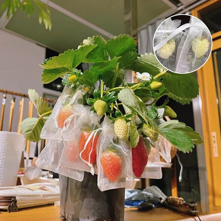 Skyddsnätskydd för fruktträd