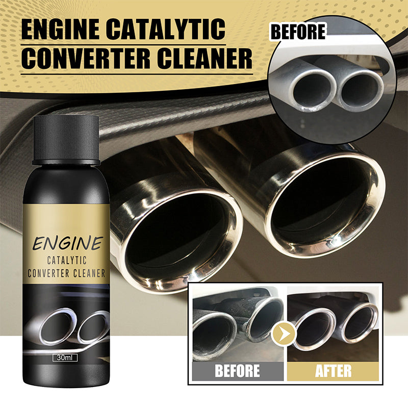 Catalytic Converter & Fuel System Cleaner