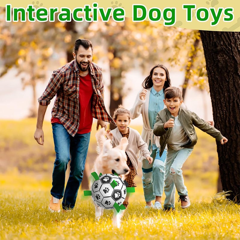 🐕⚽Dog Soccer Toy