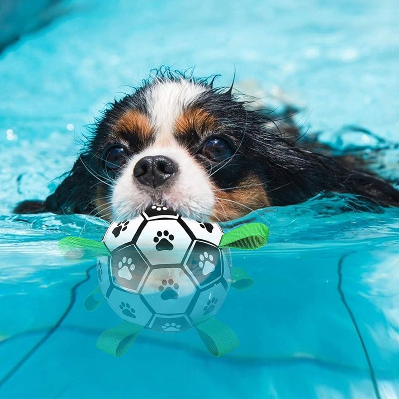 🐕⚽Dog Soccer Toy