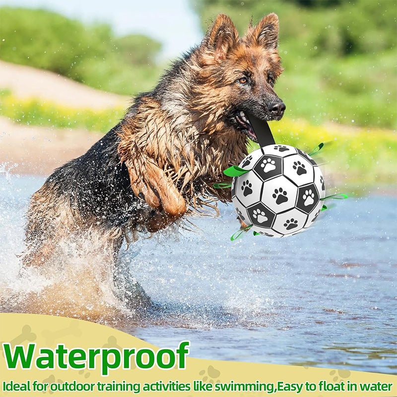 🐕⚽Dog Soccer Toy