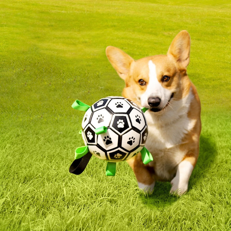 🐕⚽Dog Soccer Toy