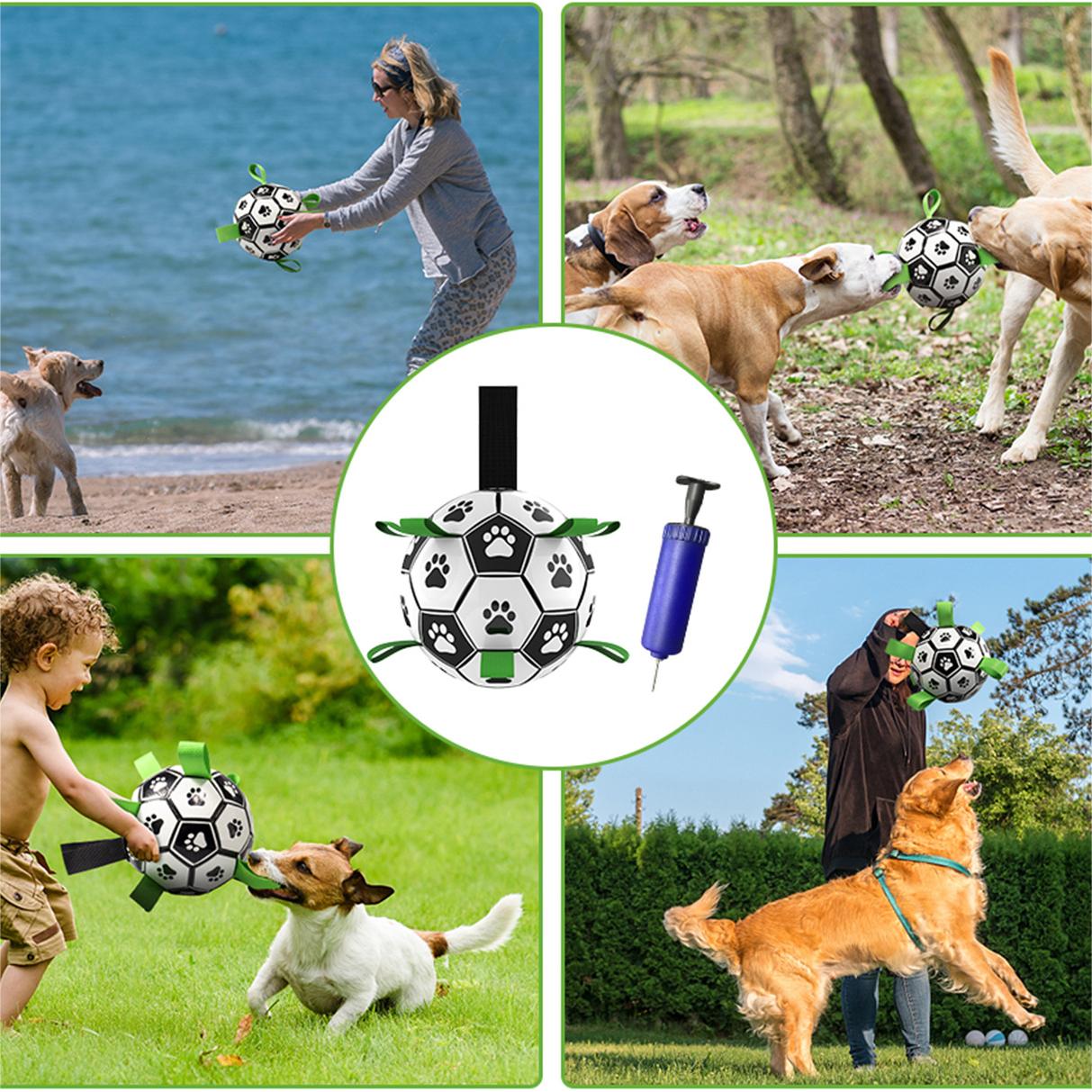 🐕⚽Dog Soccer Toy
