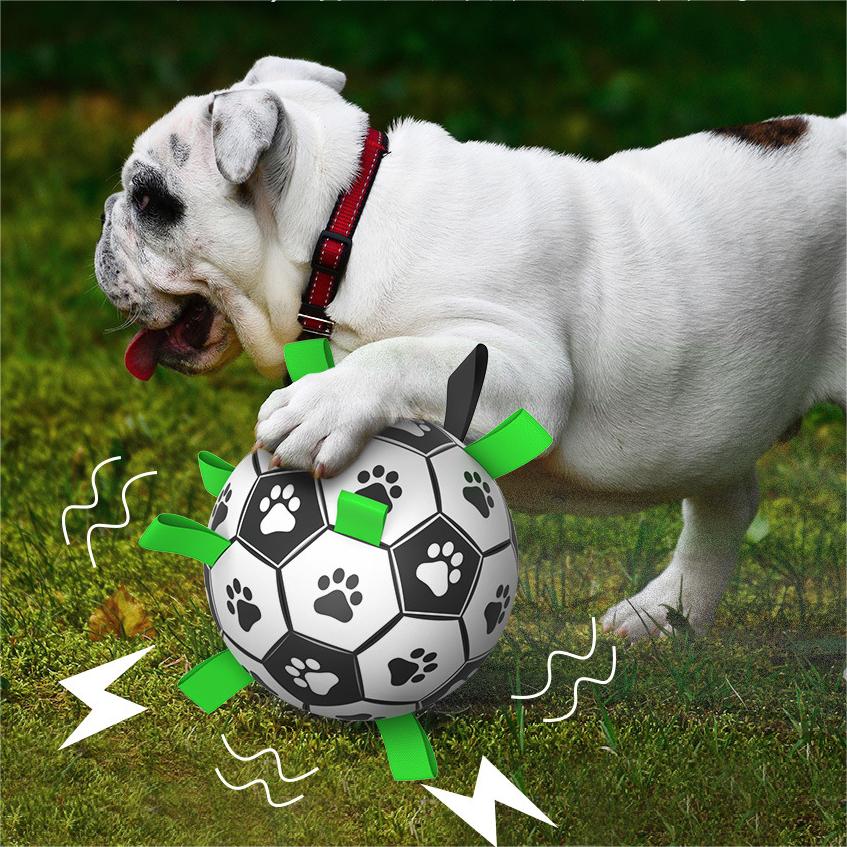 🐕⚽Dog Soccer Toy