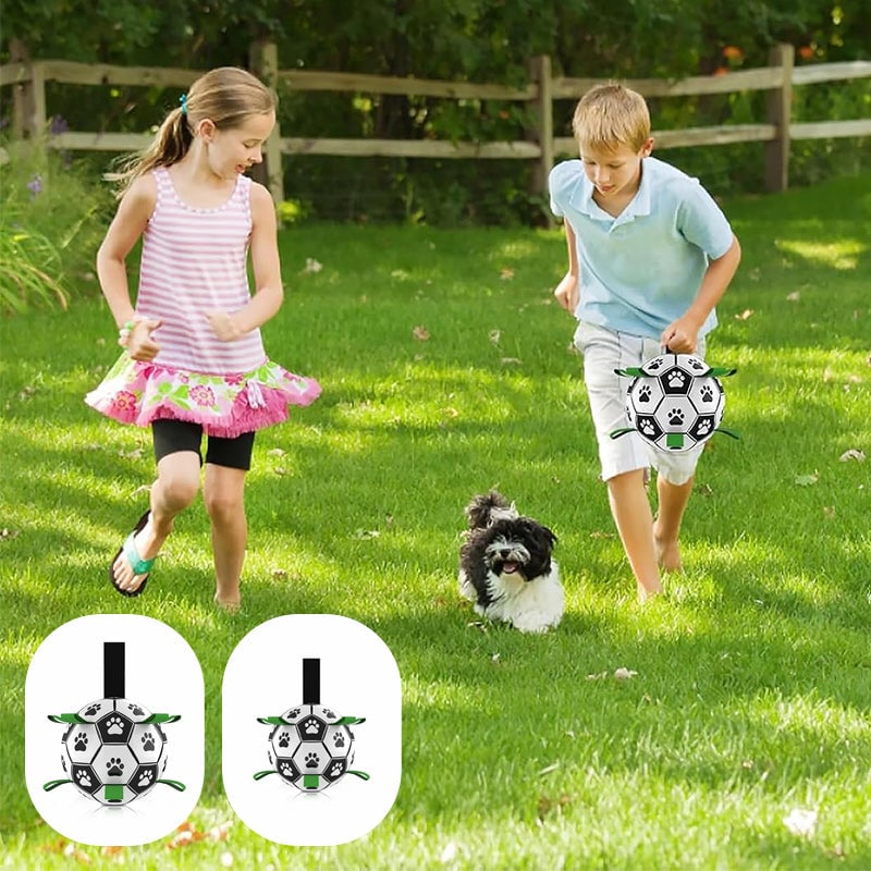 🐕⚽Dog Soccer Toy