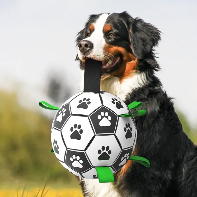🐕⚽Dog Soccer Toy