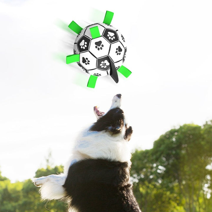 🐕⚽Dog Soccer Toy