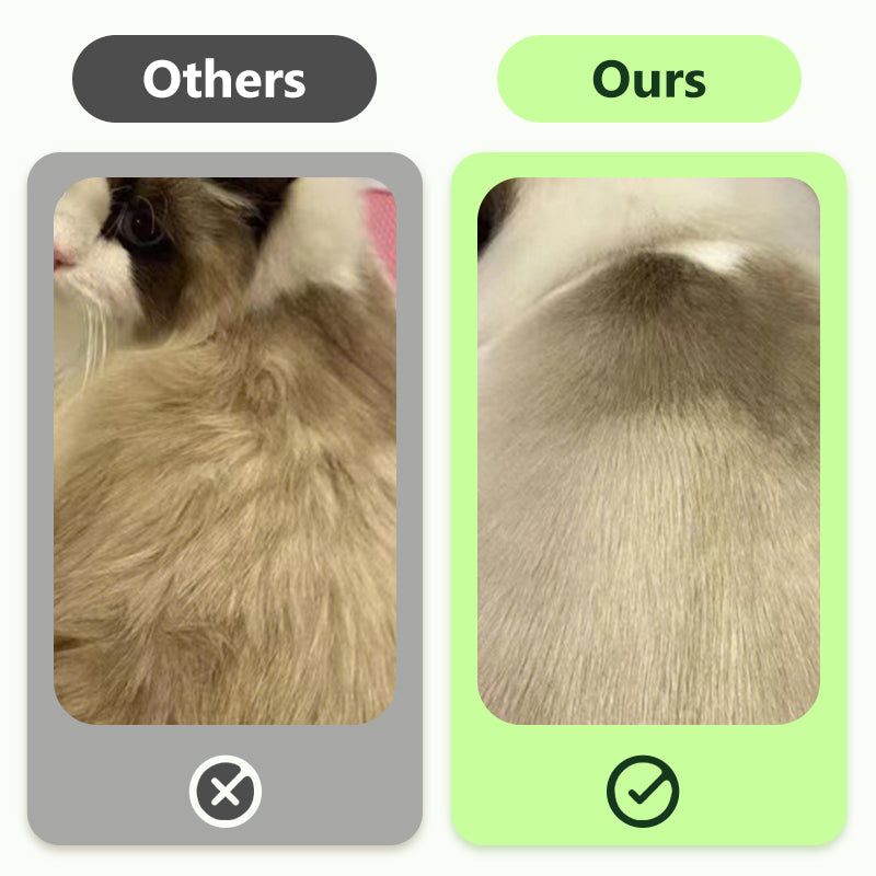 🎉 Last Day Promotion-50% OFF 🫧Gentle Pet Cleaning No-Rinse Gloves