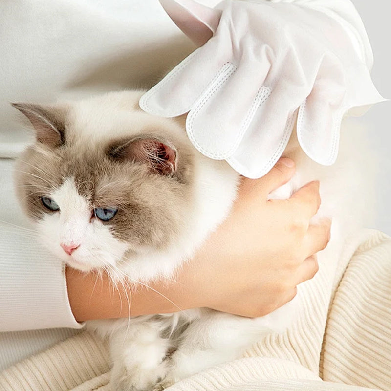 🎉 Last Day Promotion-50% OFF 🫧Gentle Pet Cleaning No-Rinse Gloves