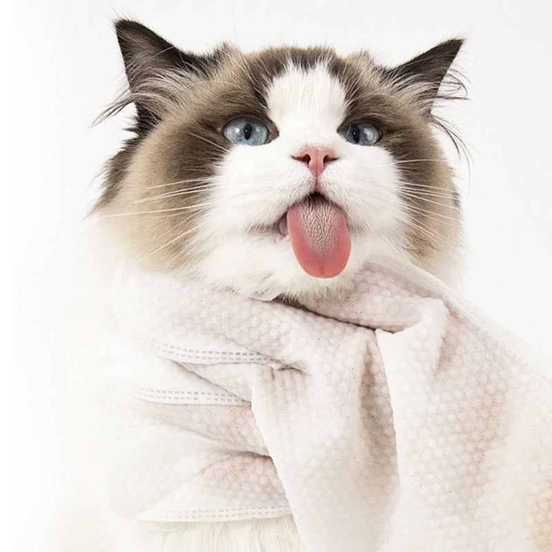 🎉 Last Day Promotion-50% OFF 🫧Gentle Pet Cleaning No-Rinse Gloves