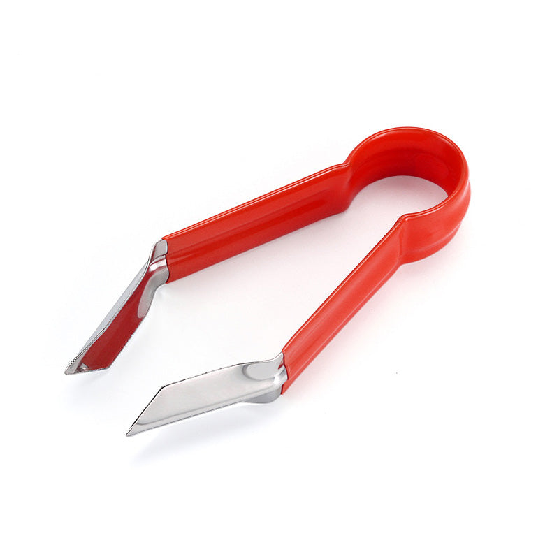 Multifunction Stainless Steel Pineapple Eye Remover