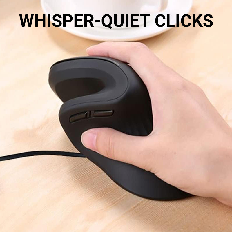 Ergonomic Low Noise Mouse