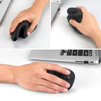 Ergonomic Low Noise Mouse
