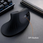 Ergonomic Low Noise Mouse