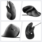 Ergonomic Low Noise Mouse