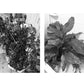 Adjustable Automatic Water Control Timer for Green Plants