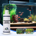 🔥Hot Sale🔥Powerful Aquarium Water Clarifier