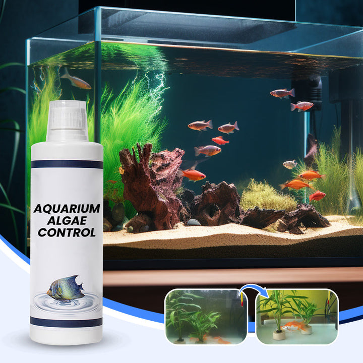 🔥Offerta imperdibile🔥Potente chiarificatore per l&