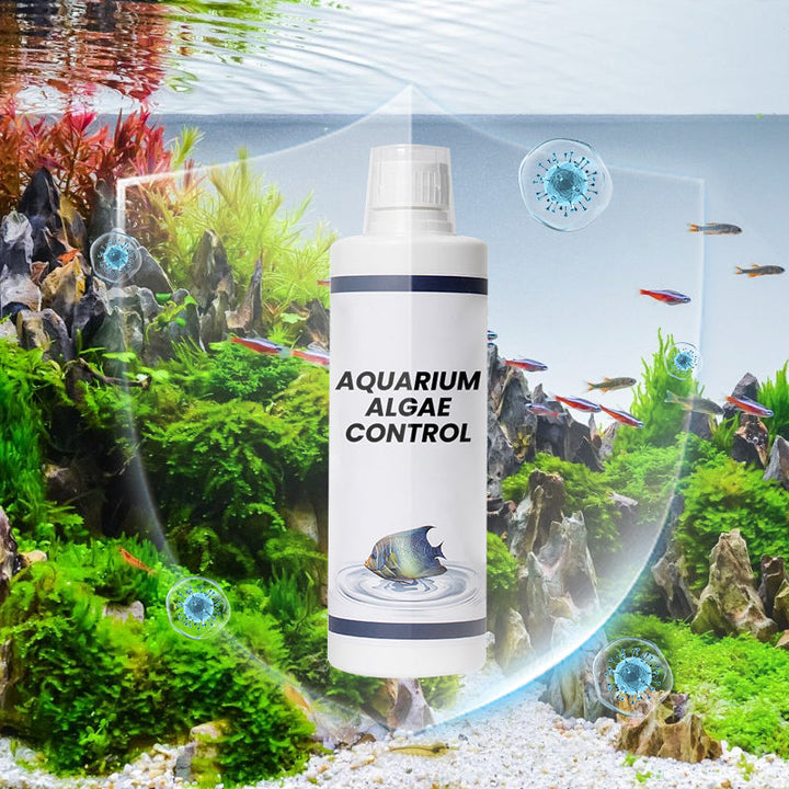 🔥Offerta imperdibile🔥Potente chiarificatore per l&