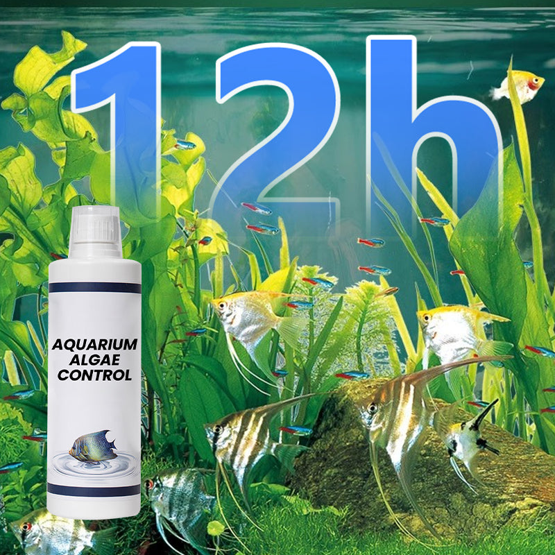 🔥Offerta imperdibile🔥Potente chiarificatore per l&