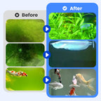 🔥Hot Sale🔥Powerful Aquarium Water Clarifier