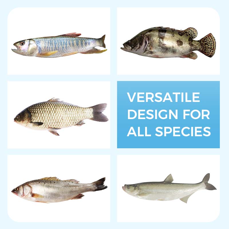 🦈Weicher, schwimmender Wurm-Angelköder - Schachtel mit 260 Ködern🎣Zeitlich begrenztes Sonderangebot🎉Kaufe 1, erhalte 1 gratis🎁