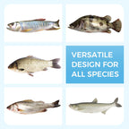 🦈Soft Floating Worm Lure Bait for Fishing - Box of 260 lures🎣Limited-Time Special Offer🎉Buy 1, Get 1 Free🎁